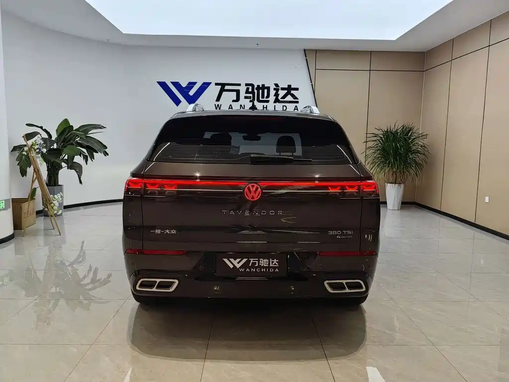 Volkswagen Tavendor — миниатюра 4