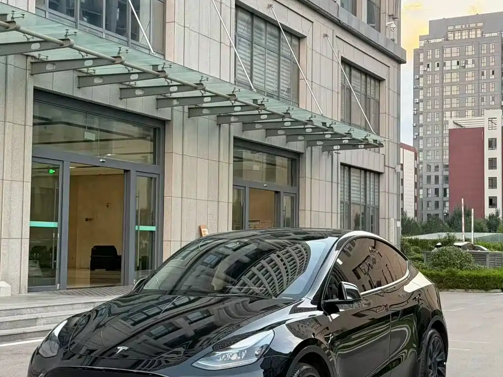 Tesla Model Y — миниатюра 3
