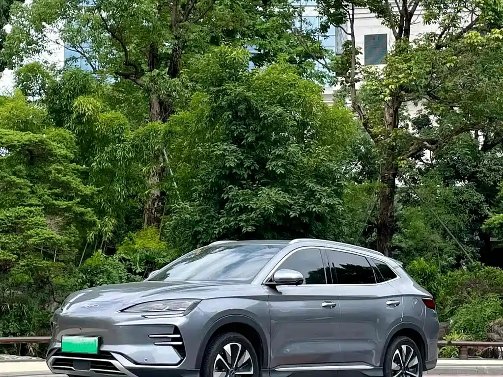 Byd PLUS New Energy 2024