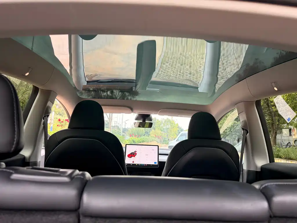 Tesla Model Y — миниатюра 25