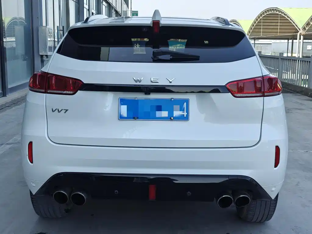 WEI PAI WEI BRAND VV7