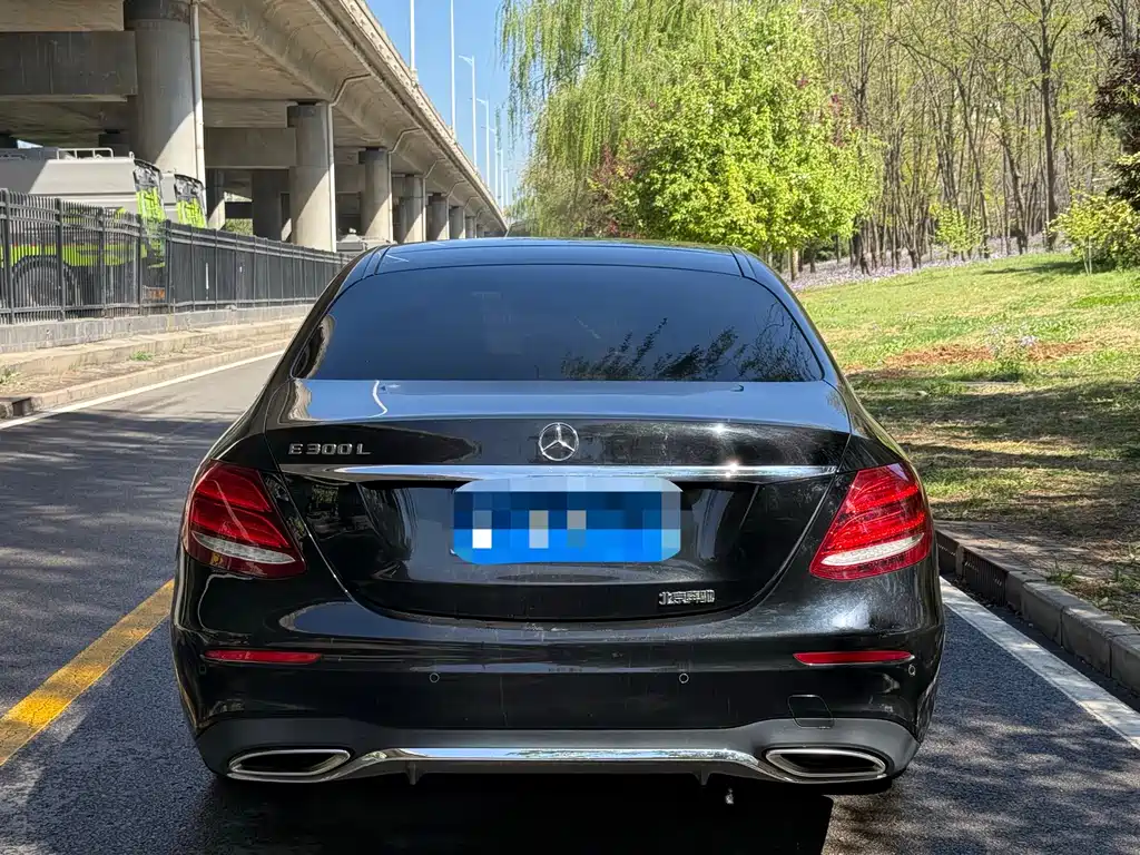 Mercedes-Benz E-Class E 2019 E 300 L Sport Fashion