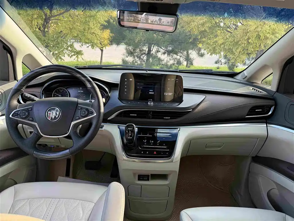 Buick GL8 — миниатюра 13