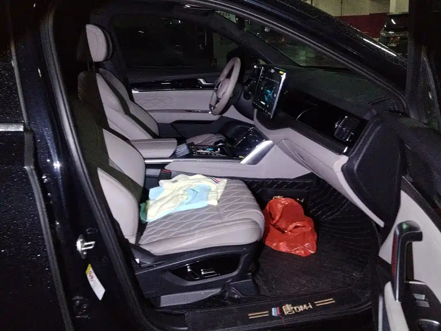 BYD Tang New Energy — миниатюра 8