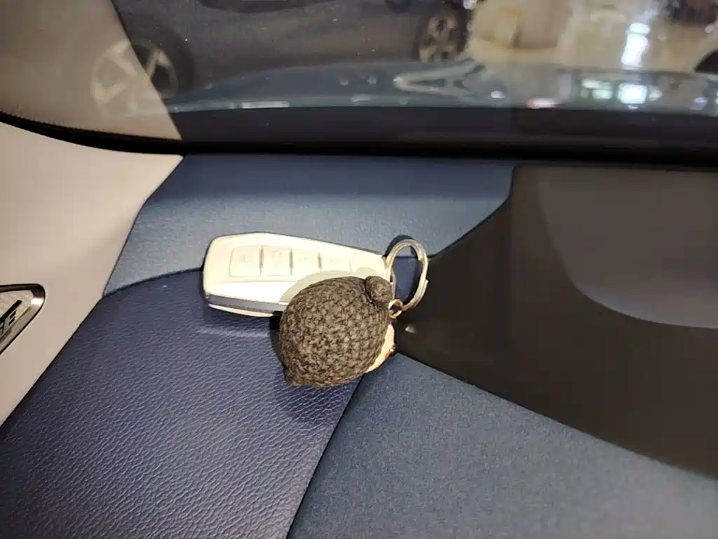 Geely Xingrui — миниатюра 9