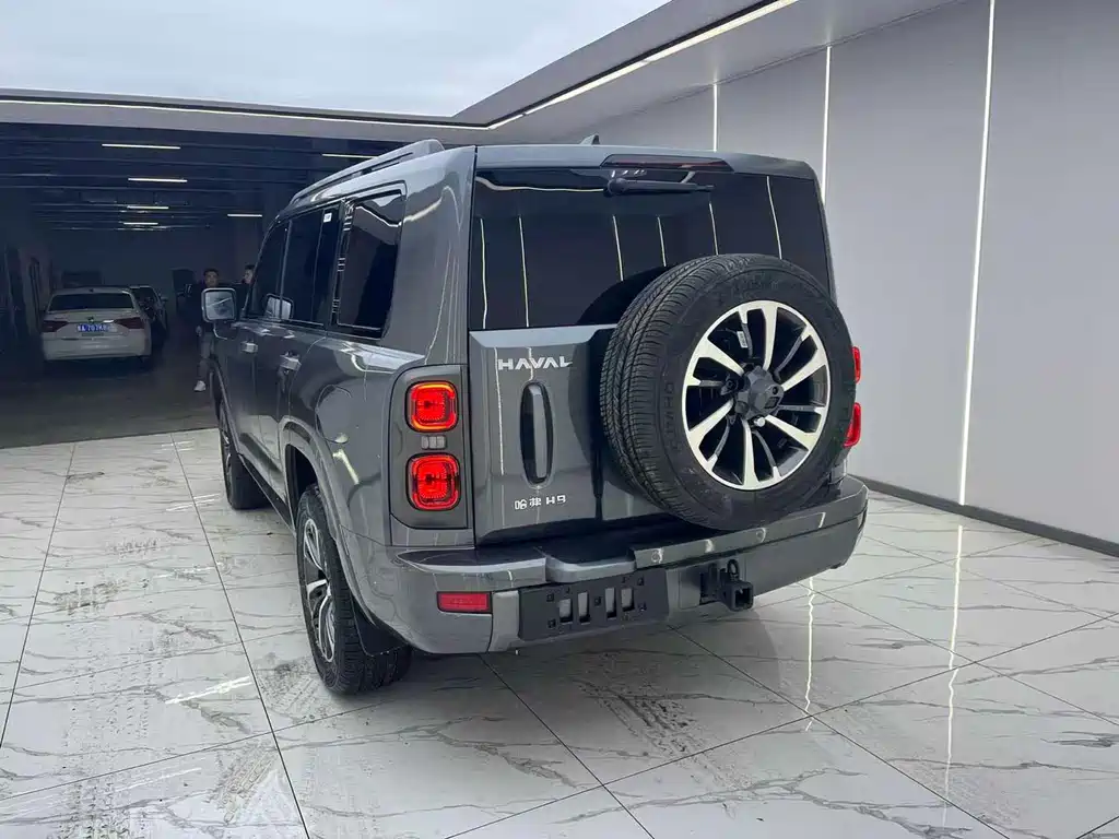 HAVAL H9