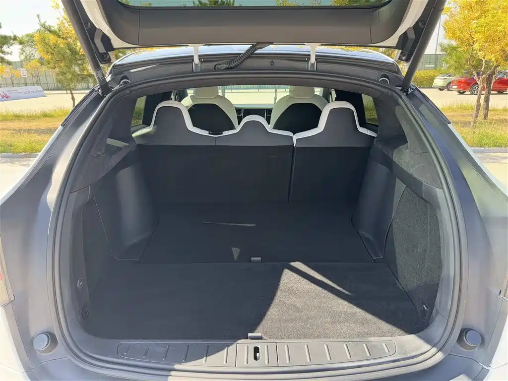 Tesla Model X — миниатюра 16