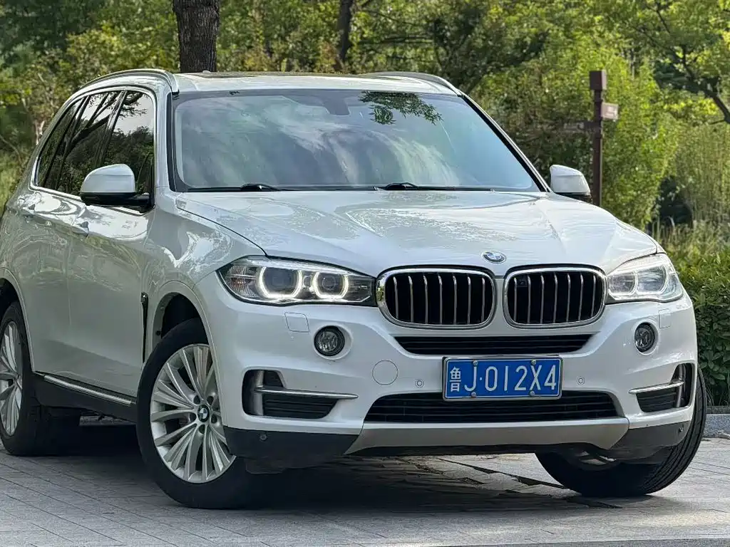 BMW X5 (Import) — миниатюра 3