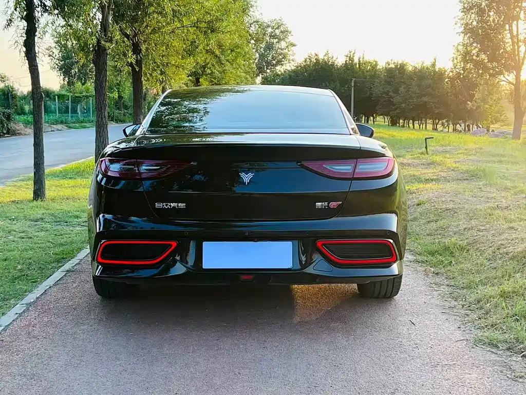 Neta Neta GT — миниатюра 8