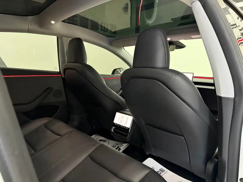Tesla Model 3 — миниатюра 28
