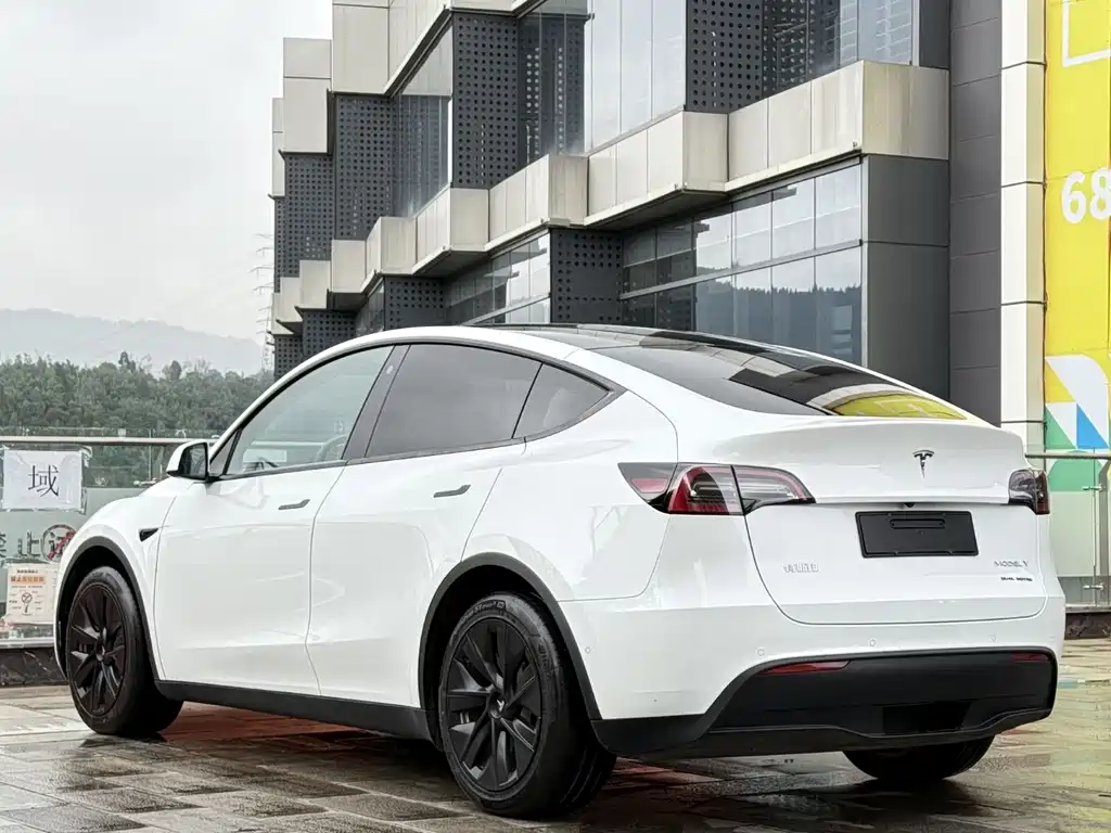 Tesla Model Y — миниатюра 16
