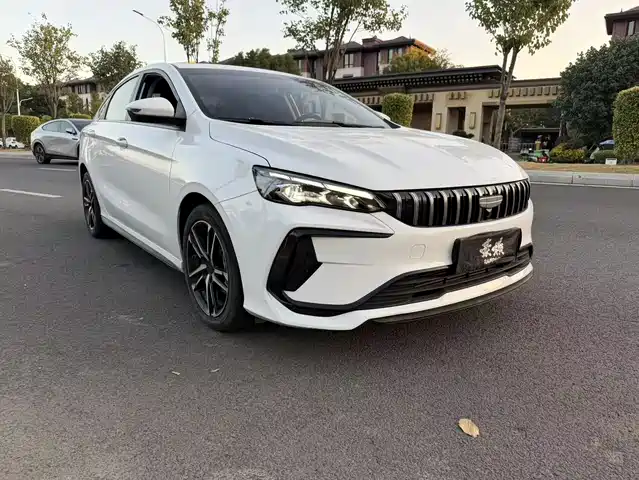 GEELY AUTOMOBILE BINRUI