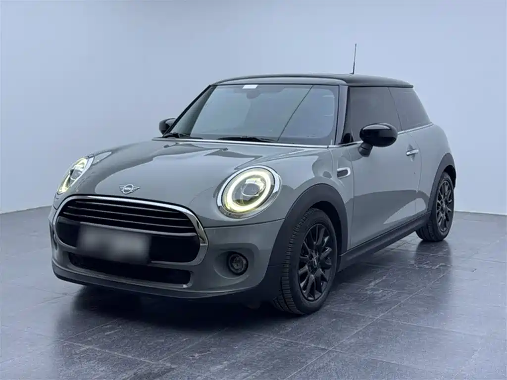Mini Mini 2020