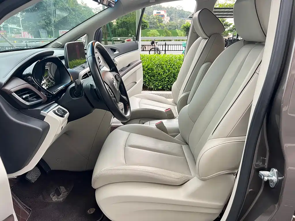 Buick GL8 — миниатюра 14