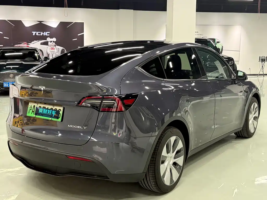 Tesla Model Y — миниатюра 9