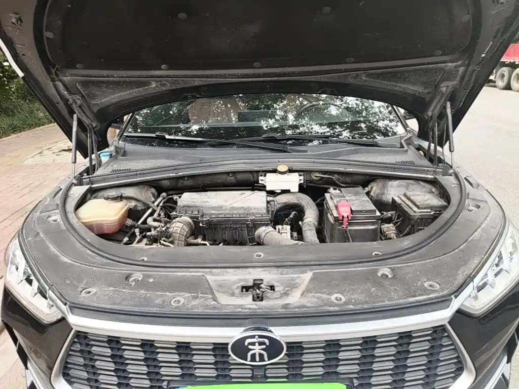 BYD PLUS — миниатюра 20