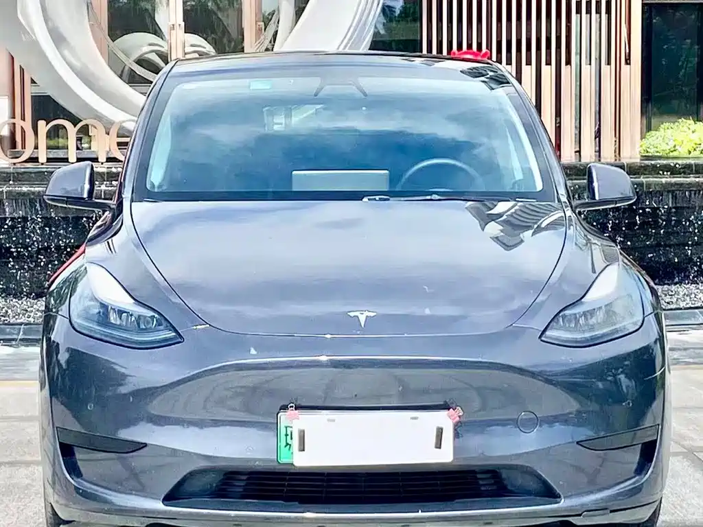 Tesla Model Y — миниатюра 2