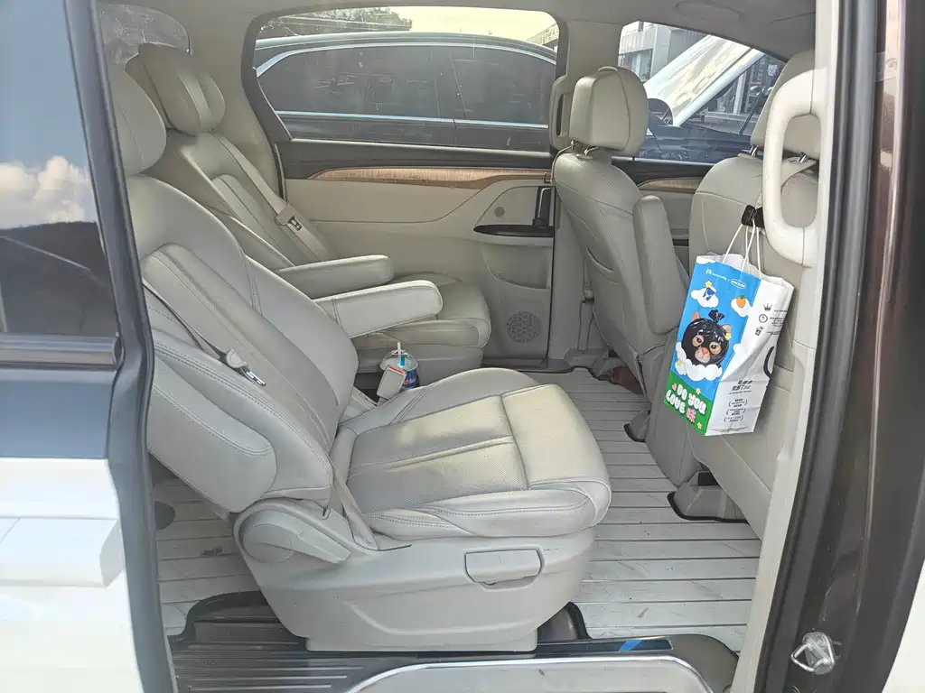 Buick GL8 — миниатюра 6