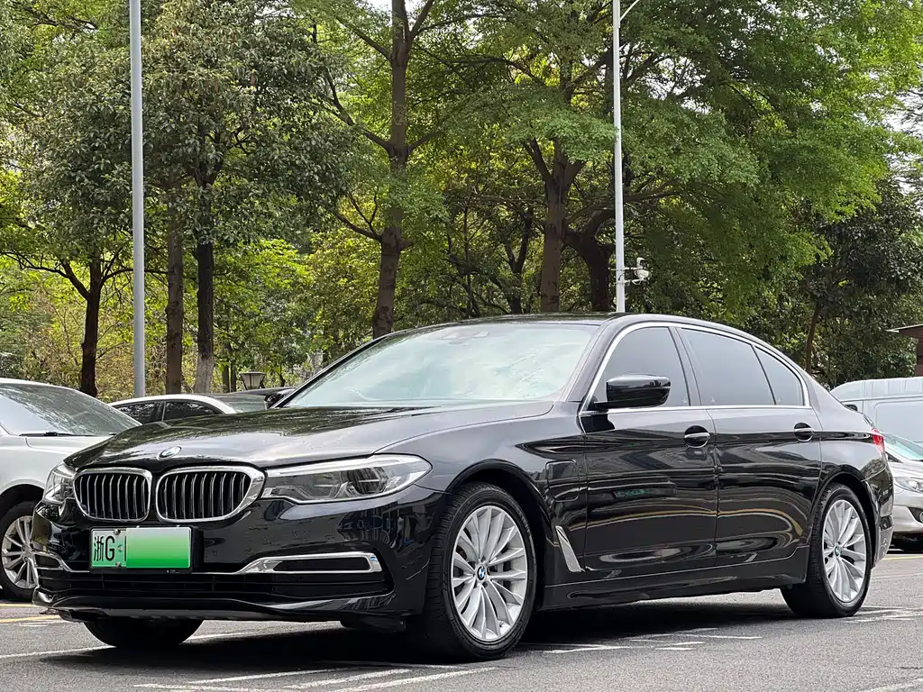 BMW 5 Series New Energy 2019