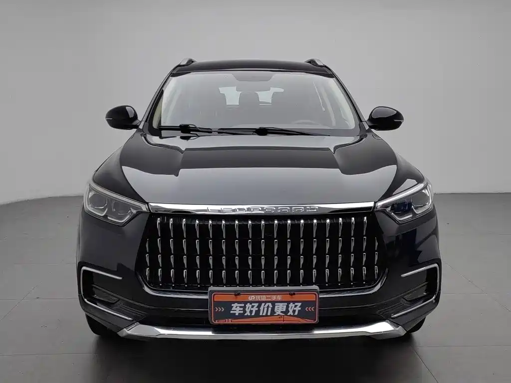 Leopaard Mattu — миниатюра 3