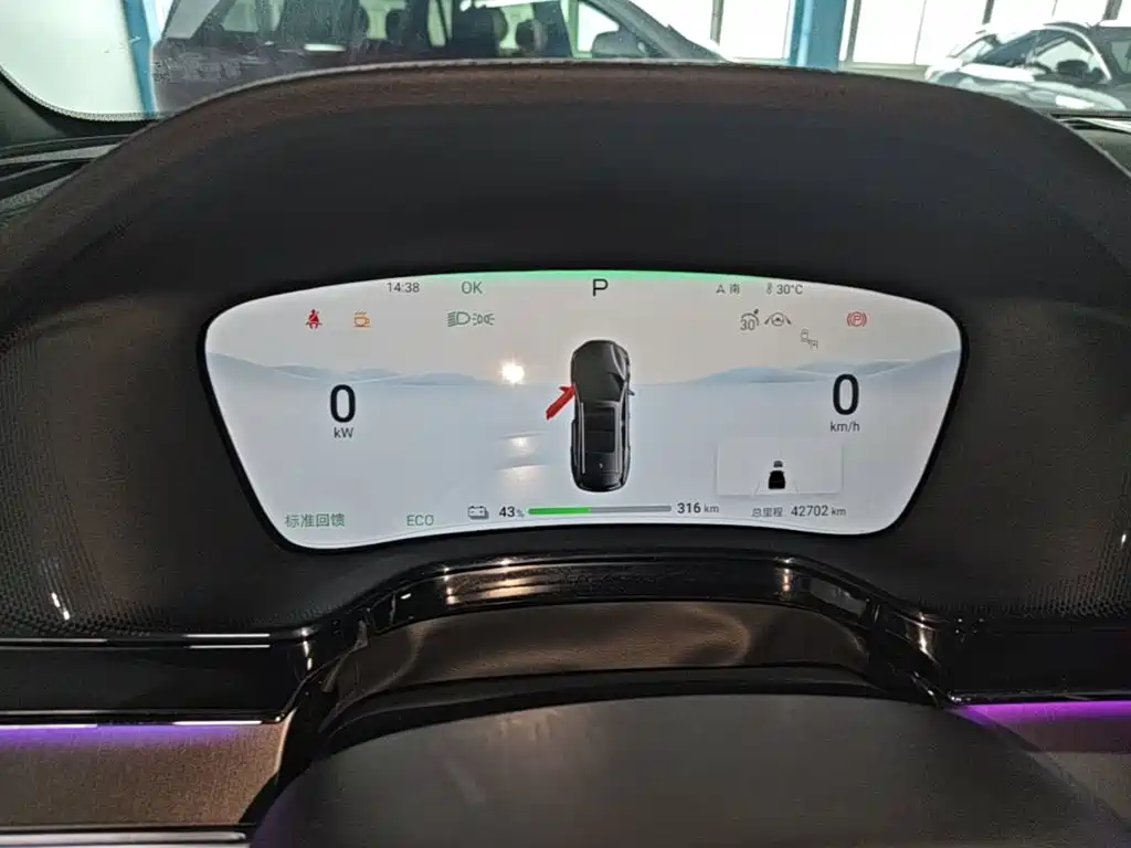 BYD Tang New Energy — миниатюра 12