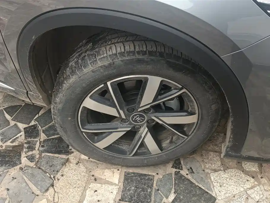 BYD SONGJIANG NEW ENERGY