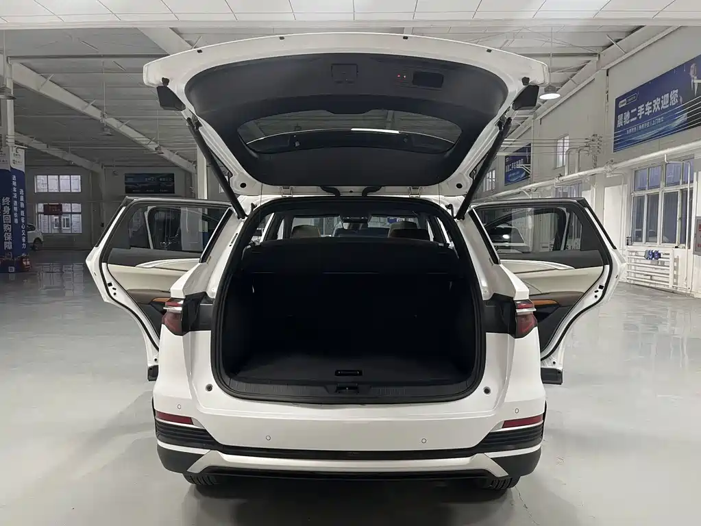 BYD Pro New Energy — миниатюра 16