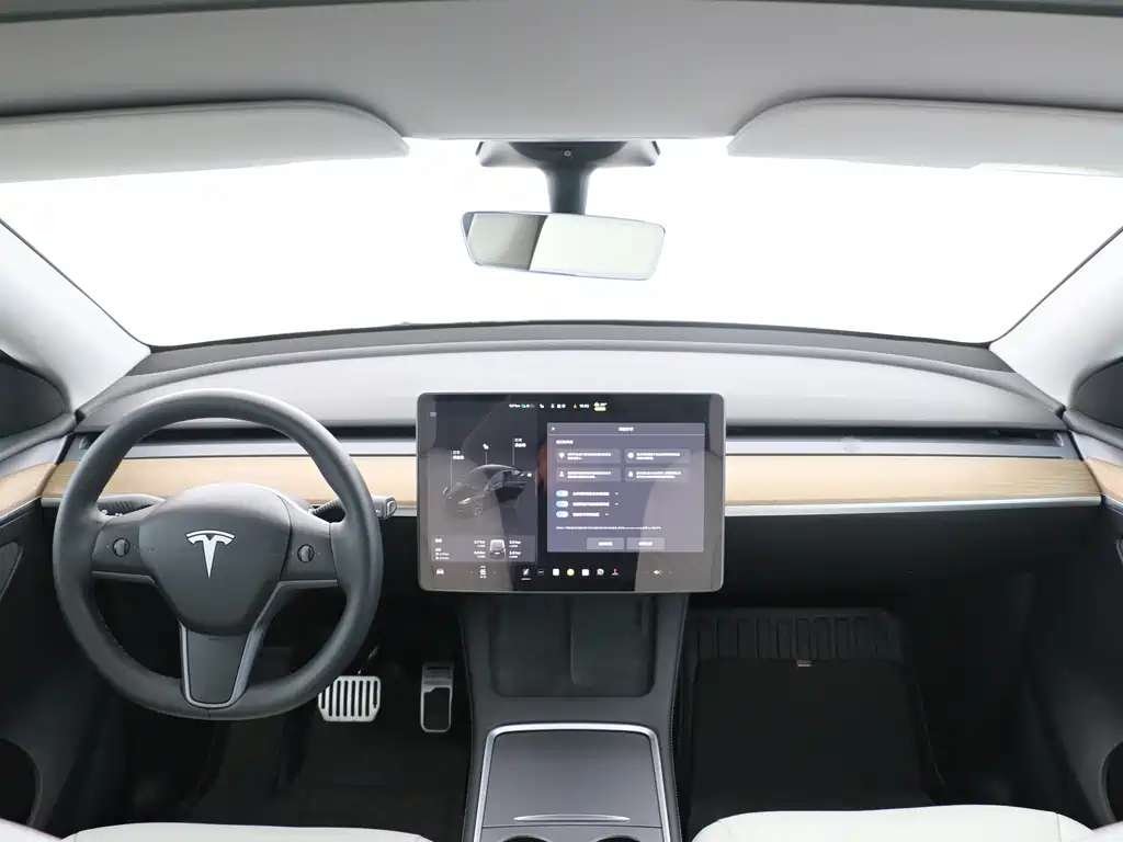 Tesla Model Y — миниатюра 5
