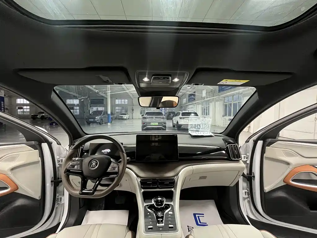 BYD Pro New Energy — миниатюра 10