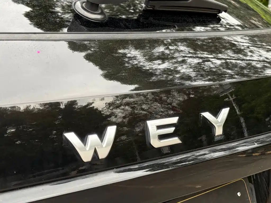 WEI PAI WEI BRAND VV7