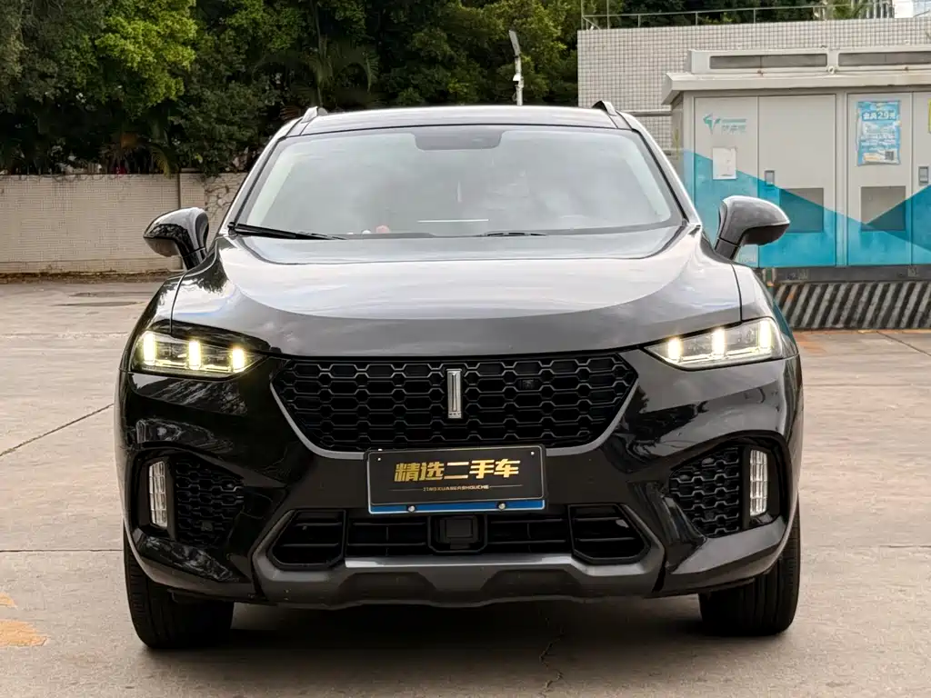 WEI PAI WEI BRAND VV7