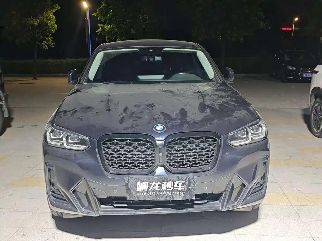 BMW X4 — миниатюра 9