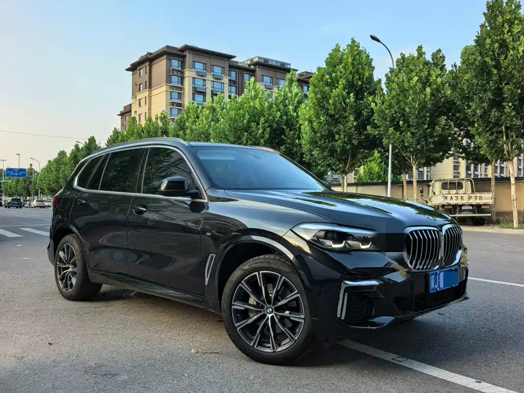 BMW X5 2022 xDrive 30Li M Sport