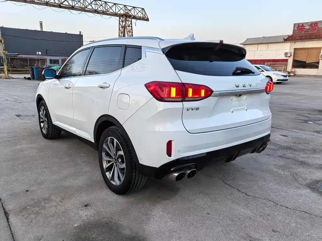 WEI PAI WEI BRAND VV6