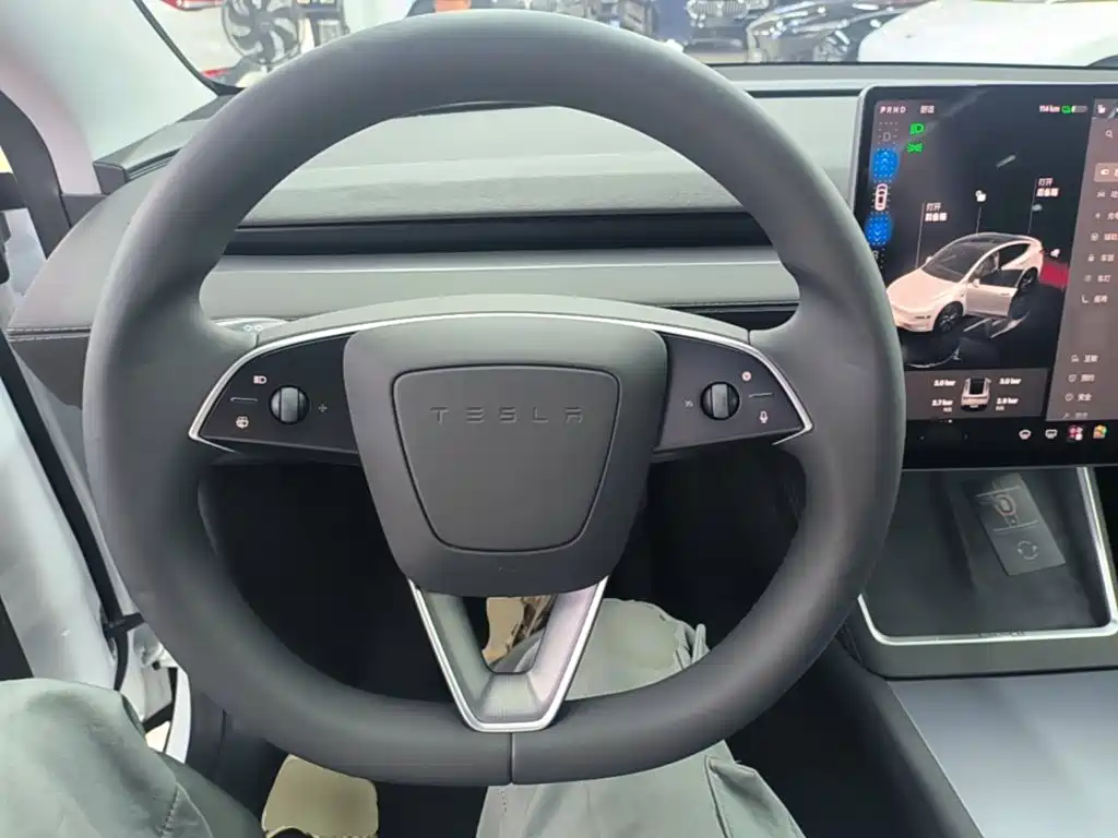 Tesla Model Y — миниатюра 11