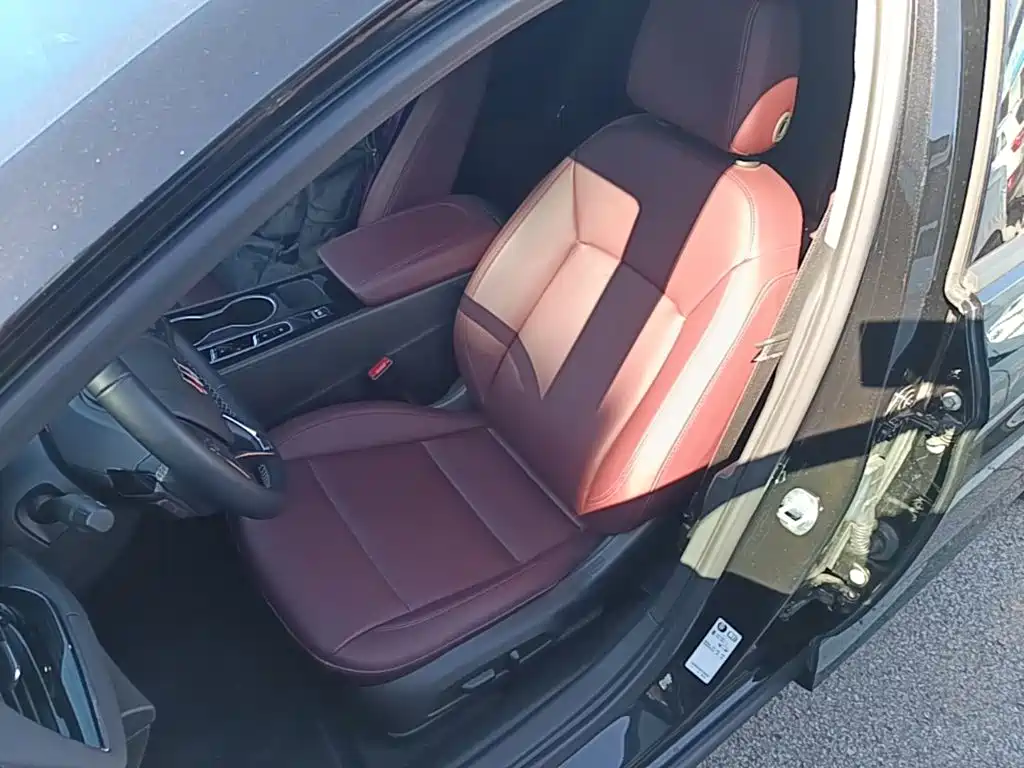 Buick Regal — миниатюра 15