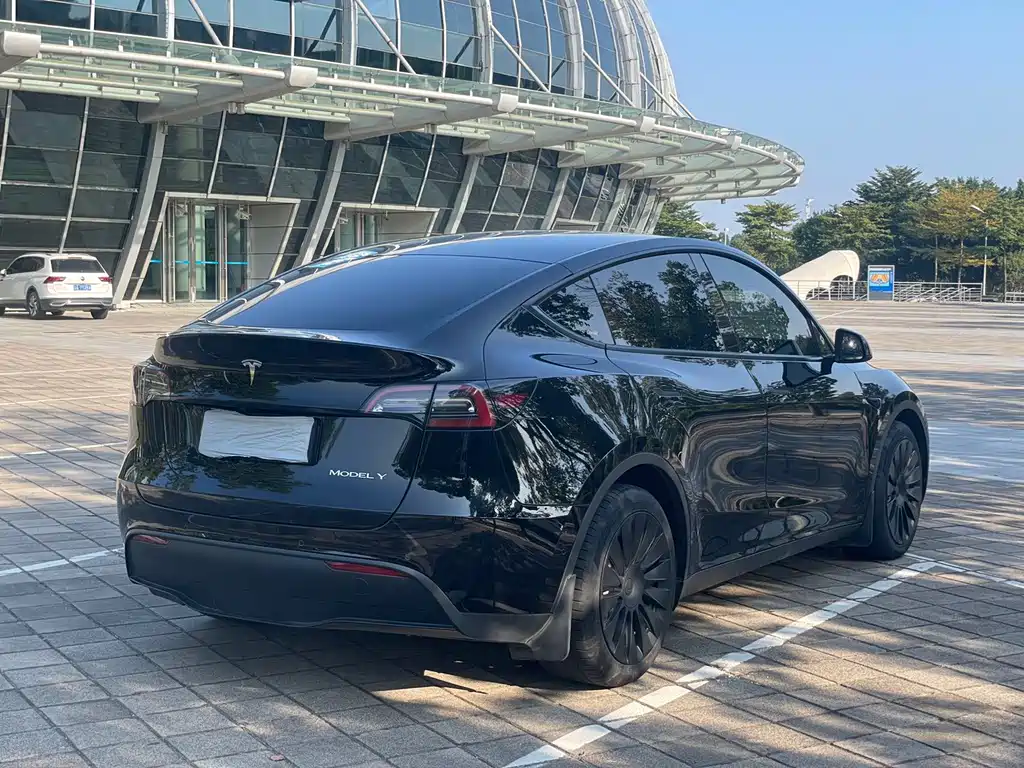 Tesla Model Y — миниатюра 8