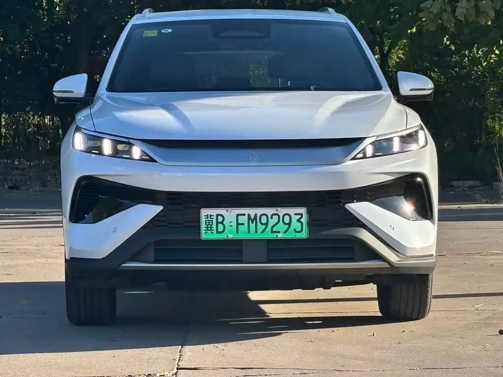 BYD Pro New Energy — миниатюра 2