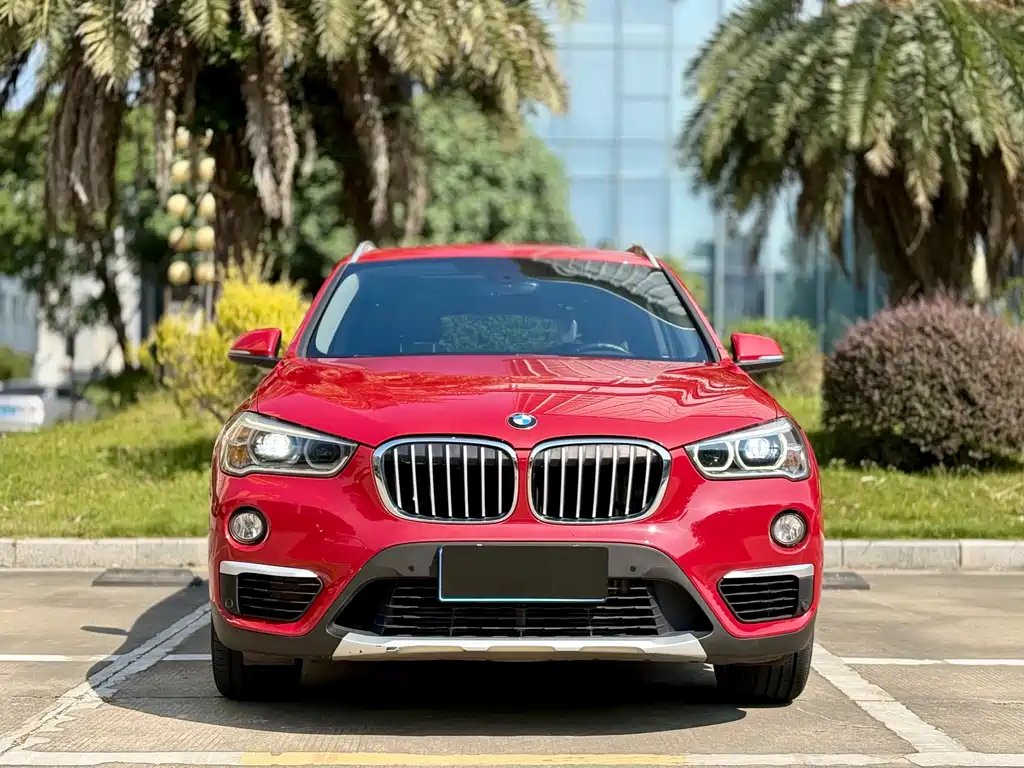 BMW X1 — миниатюра 2
