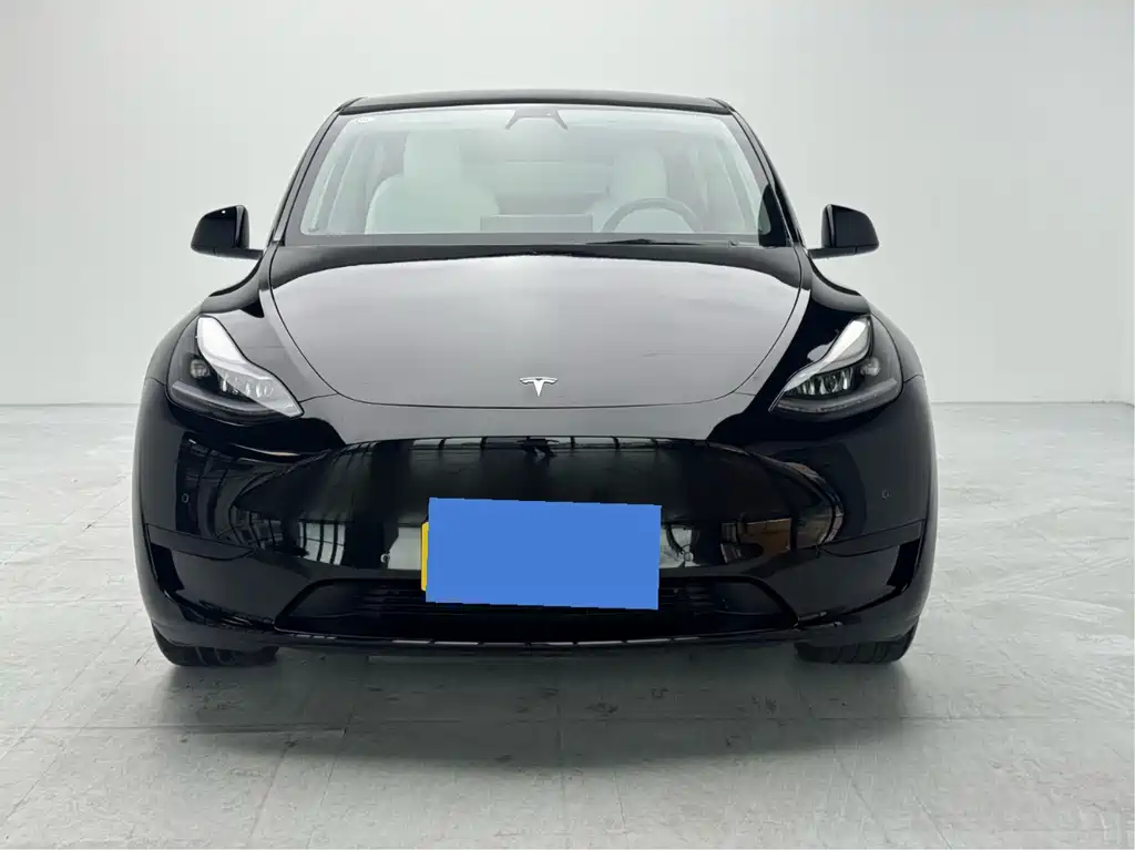 Tesla Model Y — миниатюра 5