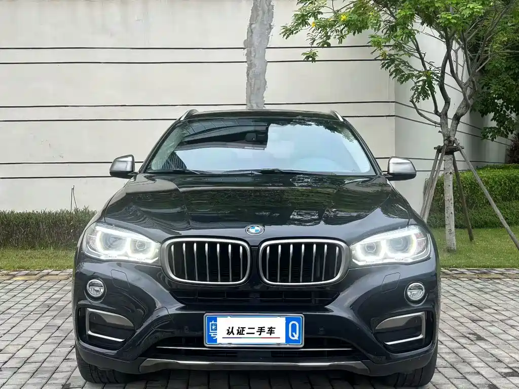 BMW X6 — миниатюра 2