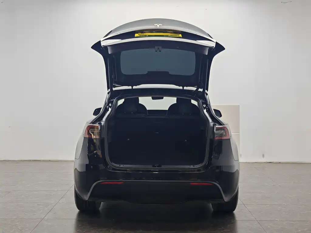 Tesla Model Y — миниатюра 13