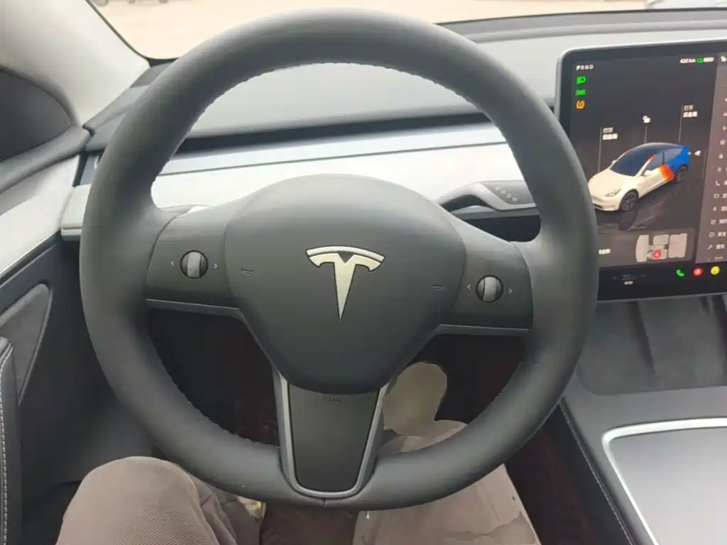 Tesla Model Y — миниатюра 11