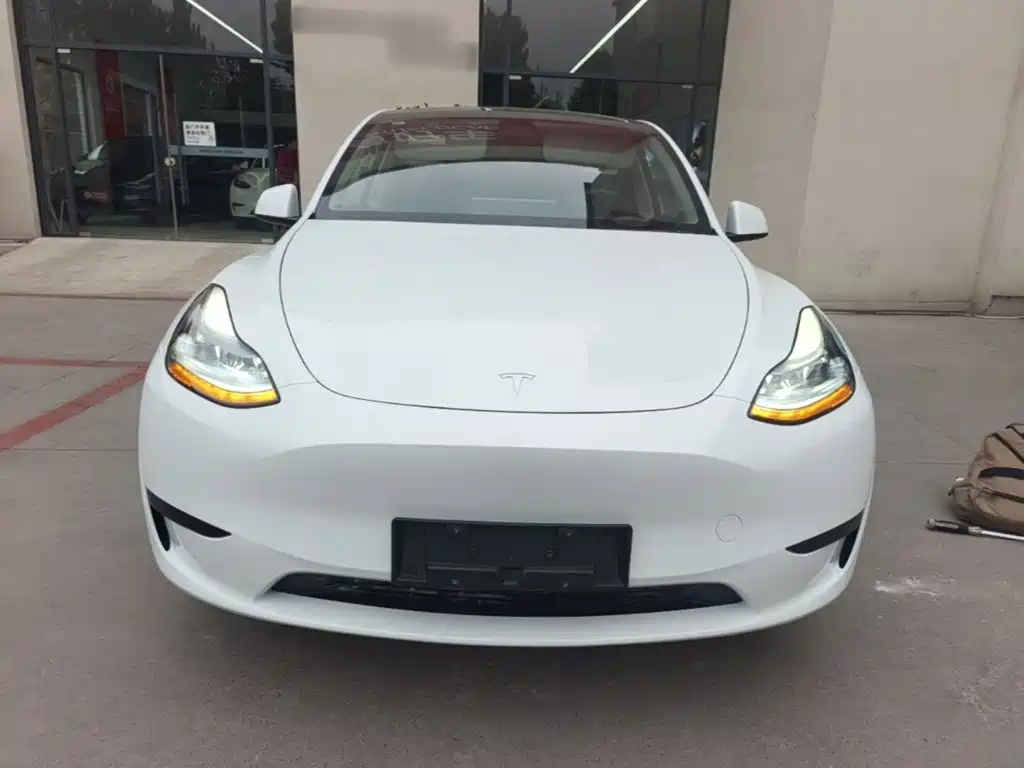 Tesla Model Y — миниатюра 3