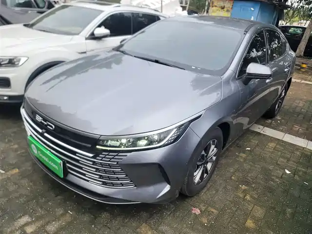 BYD DESTROYER 05 2024