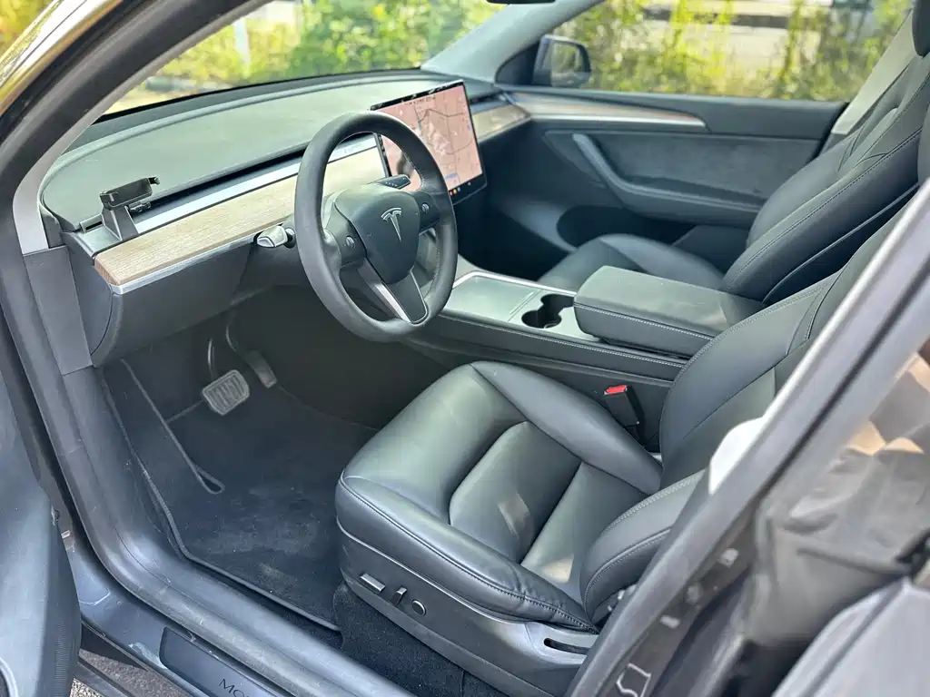 Tesla Model Y — миниатюра 11