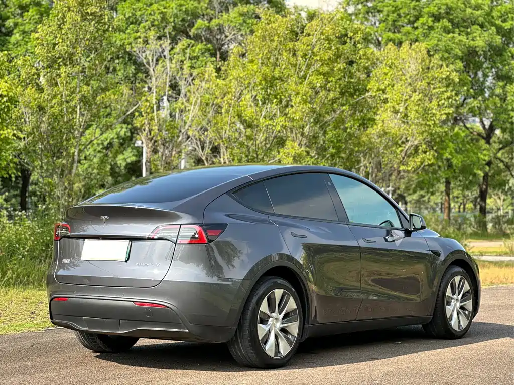 Tesla Model Y — миниатюра 8