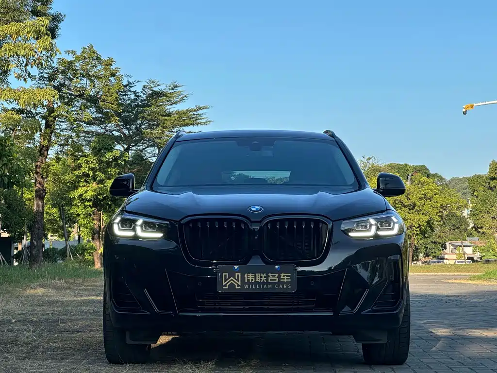 BMW X3 — миниатюра 2