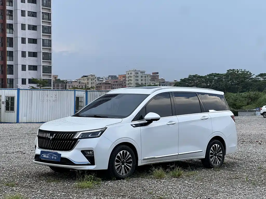 Wuling Jiachen — миниатюра 3