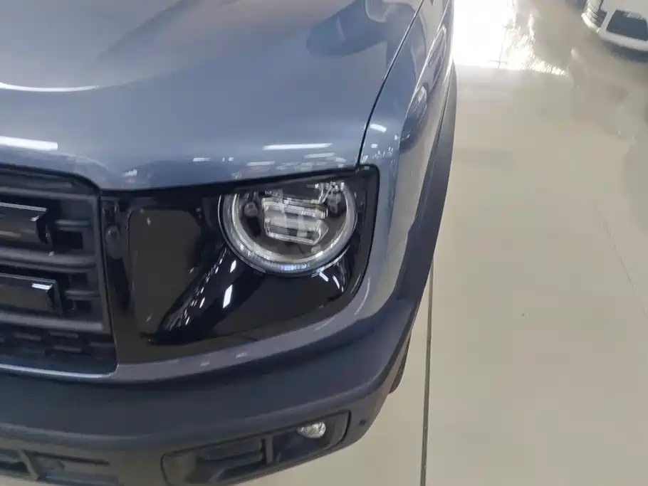 Haval Big Dog — миниатюра 5